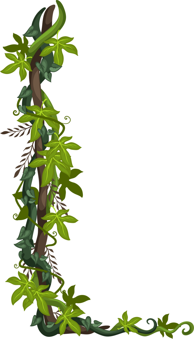 Jungle vines plant cartoon creeping botanic lianas